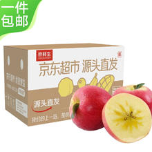 Mr.Seafood 京鲜生 正宗红旗坡阿克苏脆甜苹果 2.5kg装 果径95mm以上