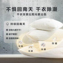 小天鹅（LittleSwan）10公斤热泵烘干机 家用干衣机 紫外线除菌智感判干衣干即停 过滤毛屑空气洗20分钟快烘 TH100-H36WT 蒸汽除皱免熨 智能家电