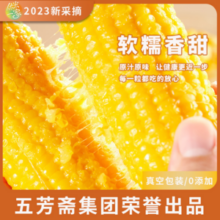 五芳斋旗下 优米一家 新鲜东北黄糯玉米/黑糯玉米 8根（1600g）