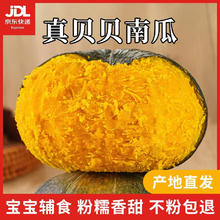 小田帝（JD快递）山东正宗贝贝南瓜 板栗南瓜 净 4.5斤 单果150-300g