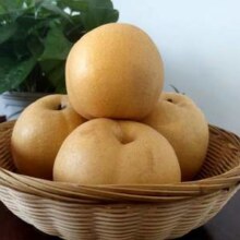 某宝买菜农场直发！ 山东烟台秋月梨 4.5斤 单果200g+