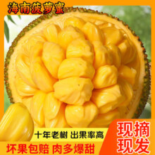 南业果  海南菠萝蜜  15-20斤
