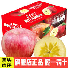 AKSU APPLE 阿克苏苹果 阿克苏红富士丑苹果 净重8.5斤单果80-85mm