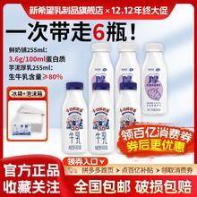 新希望今日鲜奶铺芋泥厚乳低温牛奶255ml*6瓶装早餐奶