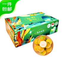 京鲜生 广西融安脆蜜金桔 2斤礼盒装 单果12g+  生鲜水果 源头直发包邮