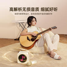 SOAIY 索爱 SK15蓝牙音响一体麦克风话筒家用K歌唱歌KTV