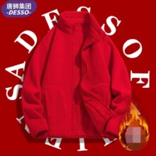 唐狮集团DESSO 双面抓绒衣*2件