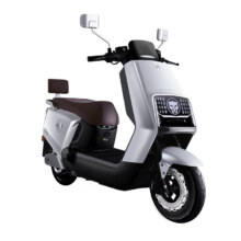 9日20点：五星钻豹 2024新款NX 电动车 72V 20AH