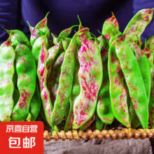 2人团：东北油豆角 1000g