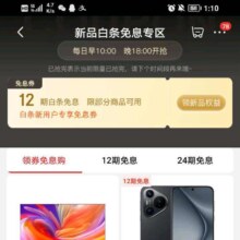 京东 新品白条免息专区 12期免息