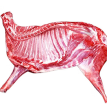 柒岛 宁夏滩羊肉  半只羊  10斤装