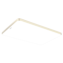 松下（Panasonic）明畔PRO客厅卧室灯 简约现代大气 LED遥控吸顶灯具 调光调色夜灯 遥控款120w-金边6078L