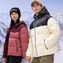 SNOWFLYING  雪中飞 2024百搭男女同款连帽户外保暖羽绒服