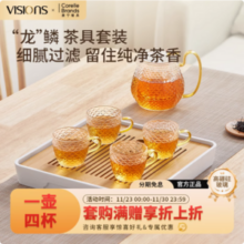 VISIONS 康宁 龙鳞 耐热玻璃水杯水壶礼盒 1壶4杯