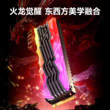 梵想（FANXIANG）1TB SSD固态硬盘 PCIe4.0 TLC颗粒 RGB炫彩光效 S790R
