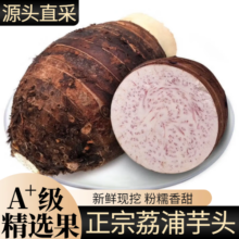 三萌果蔬正宗广西荔浦大芋头 净重4.5-5斤尝鲜装 单果200g+