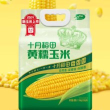 PLUS会员、需首购、需凑单:十月稻田 黄糯玉米 3.52斤 220g*8根＊2件