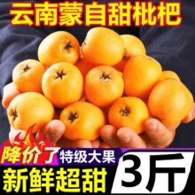 淘宝买菜农场直发 云南蒙自枇杷 1斤装（单果15~25g）