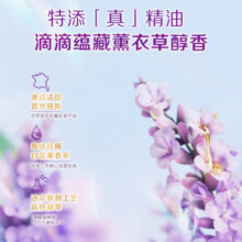 立白香氛净护精油洗衣凝珠 薰衣草72h留香 防串色 浓缩香氛洗衣液40颗
