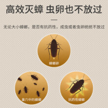 日本安速小黑帽蟑螂药非全窝家用室内端非无毒驱除灭小强杀蟑螂屋