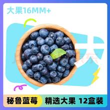 Mr.Seafood 京鲜生 进口秘鲁蓝莓 16mm+ 125g*12盒