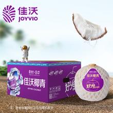 JOYVIO 佳沃 泰国进口香水椰青900g＊9个大果新鲜椰子水果整箱包邮