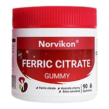 NORVIKON 美国补铁补气胶囊 135g 90粒