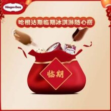 Haagen-Dazs 哈根达斯 小杯&脆皮&雪泥口味随机*10件(810g)
