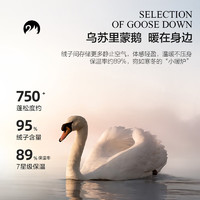 MERCURY 水星家纺 羽绒被95白鹅绒被抗菌四季被子被芯家用床品秋冬白绒吹雪