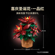 88VIP会员：LEGO 乐高 10370 一品红 拼搭积木玩具