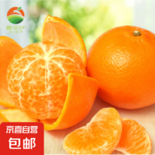 广西新鲜沃柑 现摘现发 净重4斤 单果60MM+