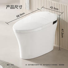 ARROW 箭牌卫浴 AKE1133-PL 智能马桶多功能全自动冲水 400抗拒
