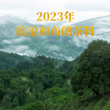 下关沱茶 茶叶 普洱茶 普洱生茶 特沱 下关特沱 标杆口粮茶 2023年下关特沱500g/条