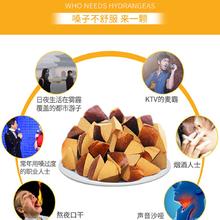 恒宝 Hengbao 八仙果 100克1罐 零食