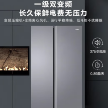 Haier 海尔 BCD-538WGHSSEDSH 对开门电冰箱 538升