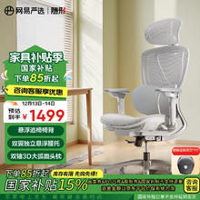 YANXUAN 网易严选 F300双翼护腰 人体工学电脑椅办公椅 无搁脚款 赠送剃须刀
