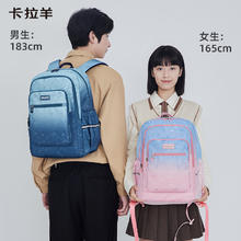 88VIP会员：Carany 卡拉羊 幼升小学生书包 CX2837