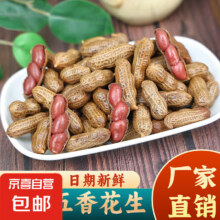 20点：五香卤花生500g*2件