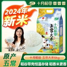 SHI YUE DAO TIAN 十月稻田 五常大米 10斤 东北稻香 真空长粒
