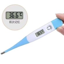 医用数字式电子体温计 1支
