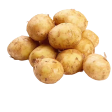 京百味山东新鲜土豆 净重4.5斤 新鲜蔬菜 黄心马铃薯 源头直发