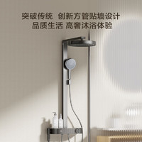 某东京造 黑天鹅恒温淋浴花洒全套装
