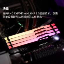 金士顿 (Kingston) FURY 16GB DDR5 5600 台式机内存条 Beast野兽系列 RGB灯条 骇客神条 支持AMD EXPO超频