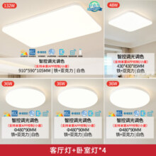 雷士（NVC）LED全光谱吸顶灯IP40防蚊虫现代简约客厅卧室灯具RG0防蓝光朗玉白 全光谱智能【四室一厅】