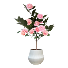 京东百亿补贴：京东鲜花 四季山茶花苗