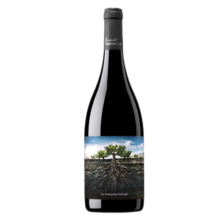 La Garnacha【GP92分】西班牙格兰蒙卡救难者老树藤歌海娜干红葡萄酒红酒礼盒 救难者 750mL单支