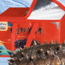 plus：皇家麒麟 即食海参礼盒 即食大连冷冻海参年货水产海鲜礼盒1000g高品质 1000g 18-24只装 三星即食