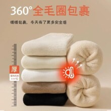 都市丽人毛圈袜加厚5双