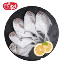 纯色本味 舟山银鲳鱼2.4斤 白鲳鱼 地标产品 平鱼 生鲜鱼类 源头直发