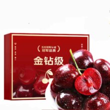 plus会员：田良季 智利车厘子超级巨无霸 4J级 32-34mm 2斤